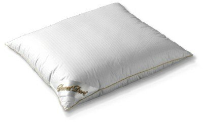 Duvet Dore 100% ganzendons kussen