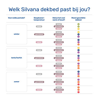 Silvana Excellent blauw (4) 100% ganzendons dekbed